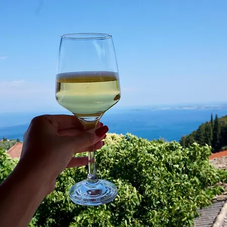 Tatil Evi Art House Seaview Spartylas